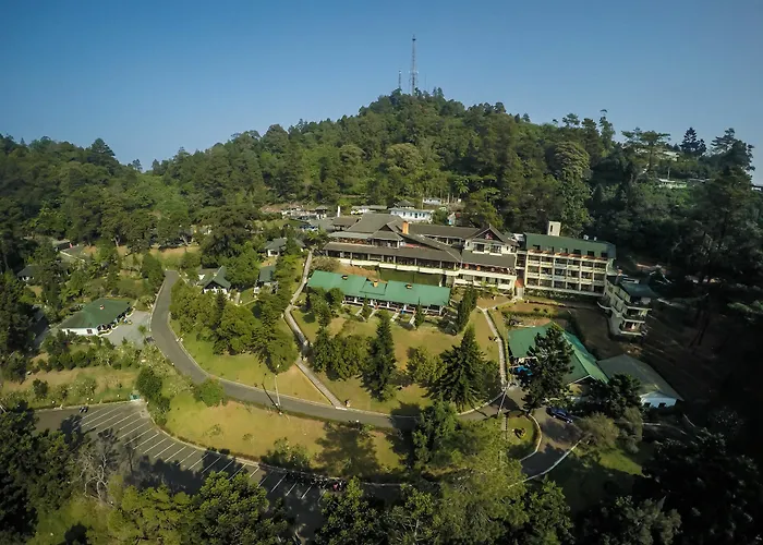 Penginapan Ramah Anak di Puncak